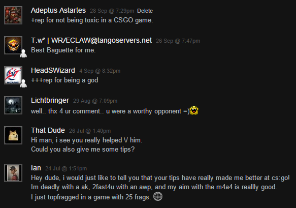 Quelques-uns des commentaires que des joueurs rencontrés ont écrit sur mon profil Steam
